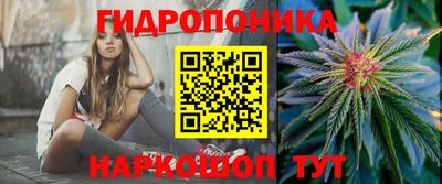 мдпв Аргун