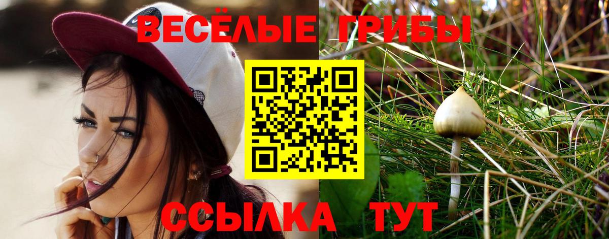 Аргун  Галлюциногенные грибы Psilocybine cubensis  Вход с VPN  Псилоцибиновые грибы Psilocybine cubensis 